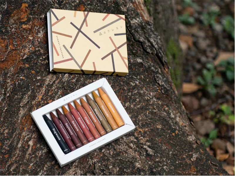 ป้ายยา Forest Crayons สีเทียนจากไม้สำหรับคนชอบเครื่องเขียน